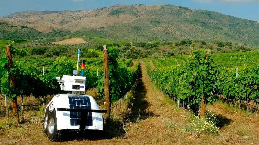 vinescout-robot-vinedos-upv|vinescout-robot-viñedo|ingeniero agronomo